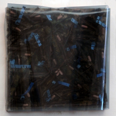 Margherita Levo Rosenberg